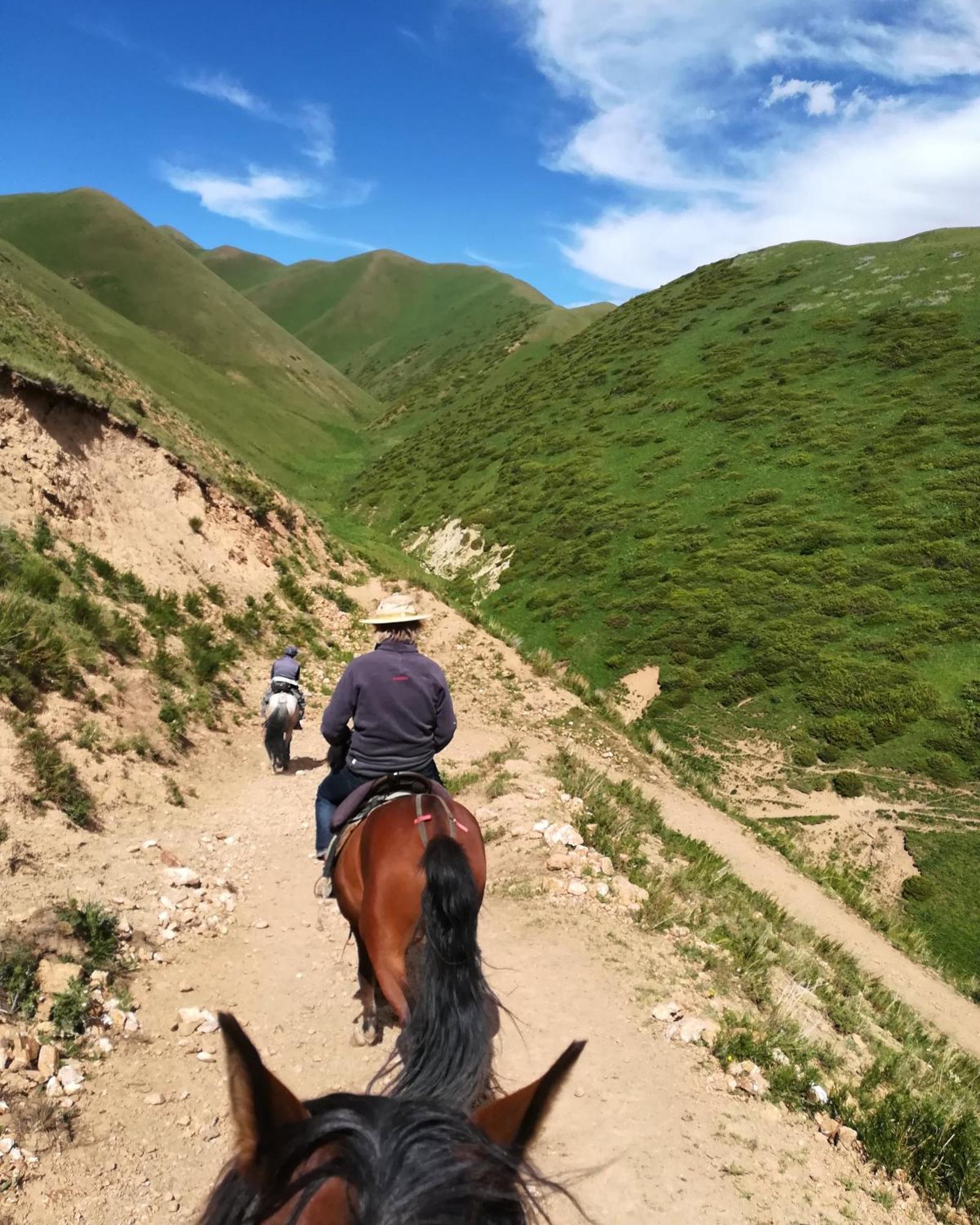 Guest House Bereke In Kyzart Village Bagysh エクステリア 写真